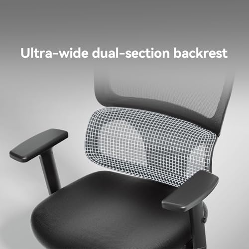 SIHOO M56 Ergonomic Office Chair, Dual Backrest, Adaptive Lumbar Support