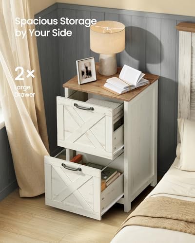 VASAGLE File Cabinet, 2-Drawer Filing Cabinet for Home Office
