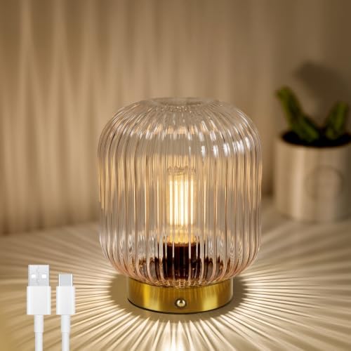 MJ PREMIER Rechargeable Table Lamp,Cordless Lamp with Memory Function,Clear