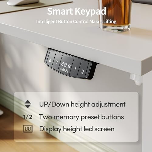 Agilestic 40 * 24 Inch Height Adjustable Electric Standing Desk, White