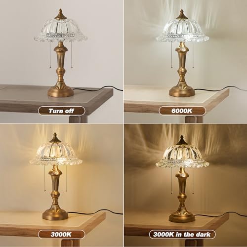 HDDFL Glass Shade Table Lamp Vintage Brass Metal Desk Lamp 2 Lights Table Light with Plug Switch for Bedroom Living Room Home Office