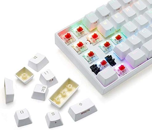 Mechanical Gaming Keyboard 60% True RGB Backlit - Wired/Wireless Bluetooth 5.0 PBT Type-c Up to 8 Hours Extended Battery Life, Full Keys Programmable (Gateron Brown, White)