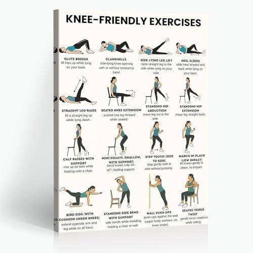 Knee-Friendly Low Impact Workout Poster, 16 Illustrated Joint-Safe Leg & Core Training Chart, Chair Supported Gentle Exercise Reference for Sensitive Knee Rehabilitation & Senior Home Fitness(24x36inchs，Wrapped Framed)