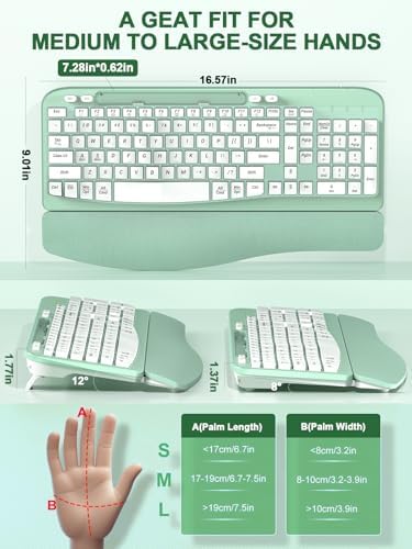 EAYBLLY 2.4G Wireless Ergonomic Keyboard, Full Size Wave Keys with Memory Foam Wrist Rest & 7.28in Phone Holder, USB-C Adapter Included for Windows Mac Chrome OS, Office or Home (Mint Green)