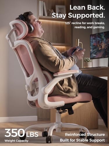 Ergonomic Office Desk Chair, Adjustable Dual Lumbar Support & Thick Seat