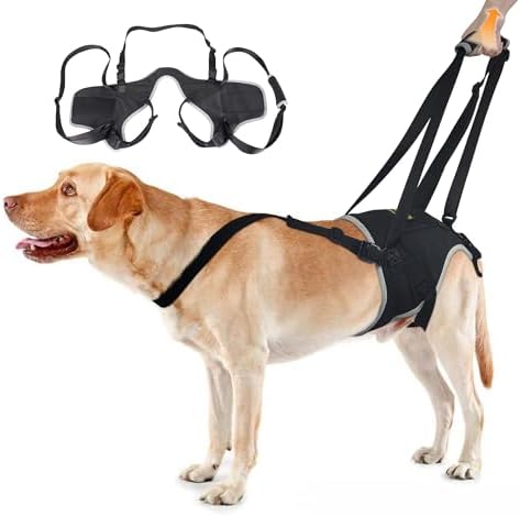 Dog Lift Harness for Small Dogs, Gentle Rear Leg Aid