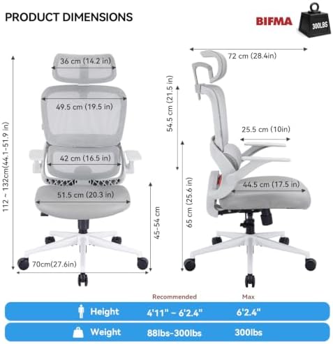 SIHOO B100 SE Ergonomic Office Chair, Desk Chair with Lumbar Support