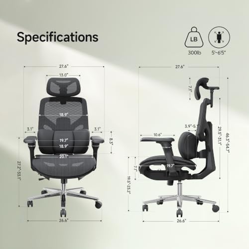 S9 Ergonomic Office Chair 3-Zone Lumbar Support for Back Pain Relief