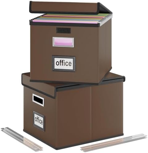 File Organizer Box with Lids, Collapsible File Folder Organizer