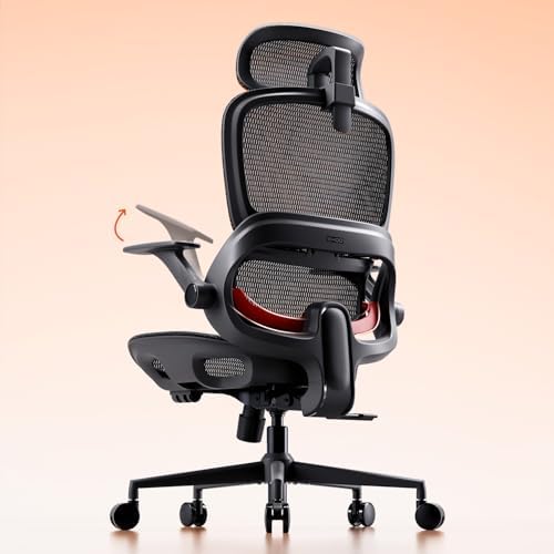 SIHOO B100 Mesh Ergonomic Office Chair with Adaptive Lumbar Support