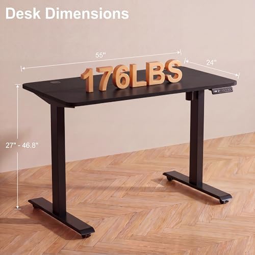 55'' × 24'' Height Adjustable Electric Standing Desk with Wheels
