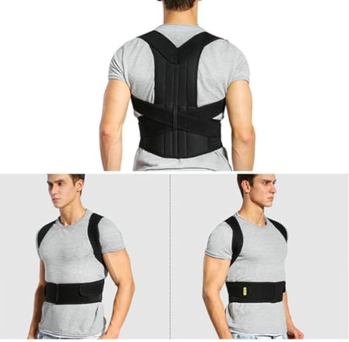Multi Size Pose Trainer For Adults With Hiddened Back Support Technology