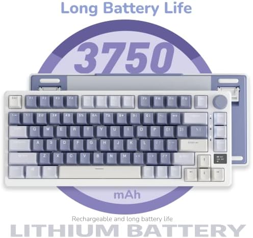 RK ROYAL KLUDGE M75 Mechanical Keyboard with OLED Smart Display and Volume Knob, 2.4G/USB-C/BT Gasket Mounted 75% Layout Wireless Gaming Keyboard with 81 Keys, RGB Backlit Hot-Swappable Brown Switch