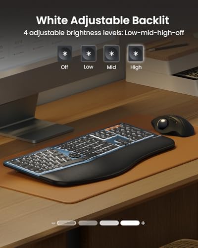 ProtoArc EK01 Plus Backlit Bluetooth Ergonomic Keyboard, Full Size, Blue