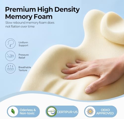 27° Angled Wedge Pillow, Support for Neck Back Waist(Sky Blue & White)