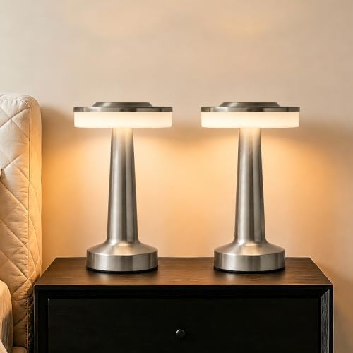 LED Portable Cordless Rechargeable Table Lamp,Silver