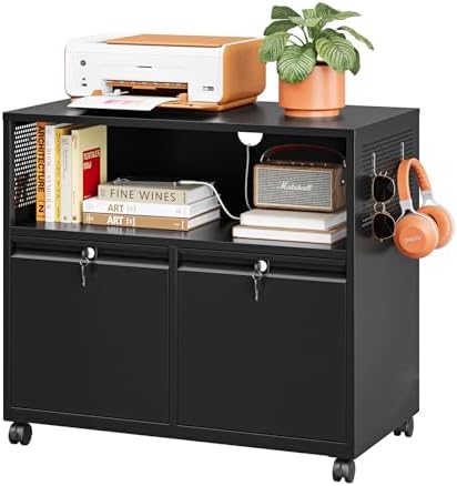 Metal File Cabinet,2 Drawer Filing Cabinet with Lock,Rolling Printer Stand Storage Cabinets with Shelves for Home Office Letter/Legal/A4 Size Files(Black)