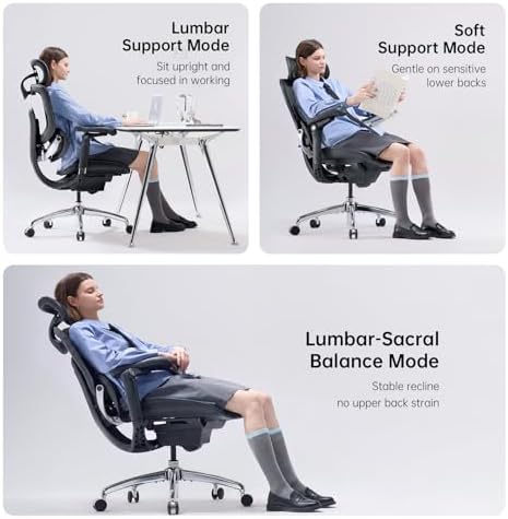SIHOO Doro C300 Pro V2 Ergonomic Office Chair, Full-Body Adaptive Support