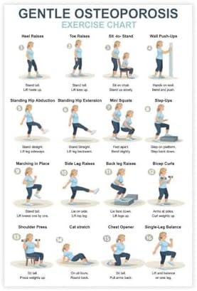 Osteoporosis Exercise Chart for Seniors Gentle Low Impact Seated Standing Workout Bone Health Routine Canvas Poster Bedroom Decor Room Decor Unframe 16x24inch