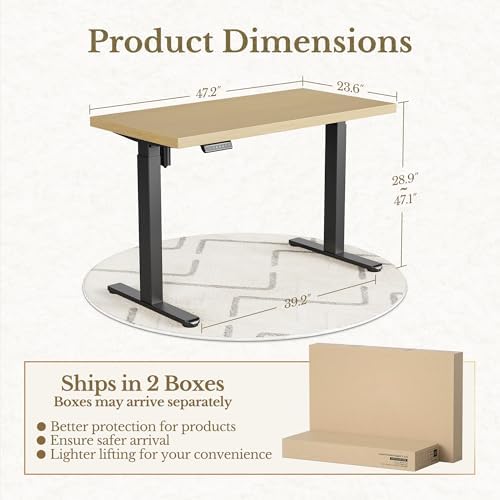 ErGear 48 X 24 Inch Height Adjustable Electric Standing Desk, Light Walnut