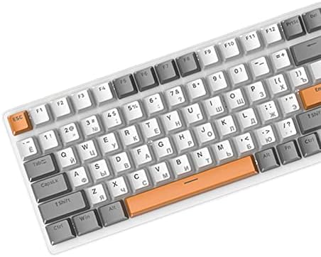 predolo Russian Mechanical Gaming Keyboard 100 Keys, Ergonomics,RGB, Backlit, USB Wired Plug and Play Durable Portable 98% Allocation for PC Laptop, Style E