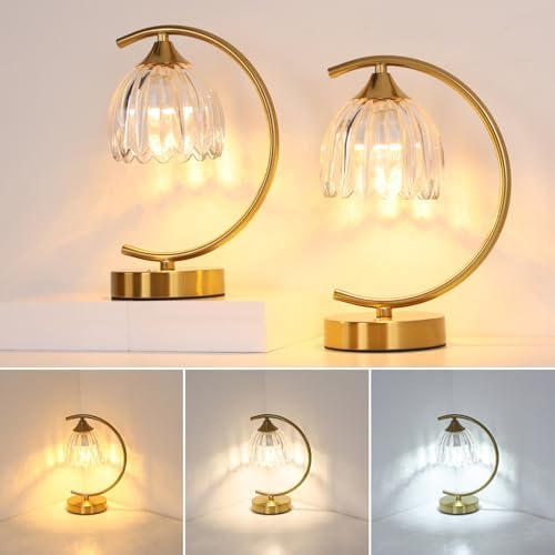 Shenmoyl Set of 2 Tulip Table Lamp, 5200mAh Cordless Touch Control Table Lamp with 3 Color Temps & Stepless Dimming, Rechargeable Battery Table Lamp for Living Room, Bedroom, Shelf (Transparent Tulip)