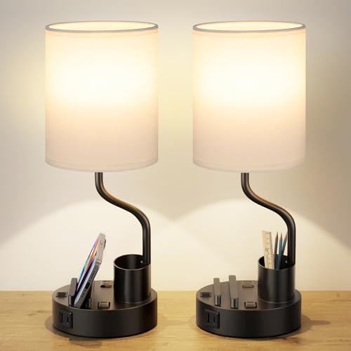 Fenmzee Bedside Lamps for Bedroom Set of 2 - Table Desk Lamp for Nightstand