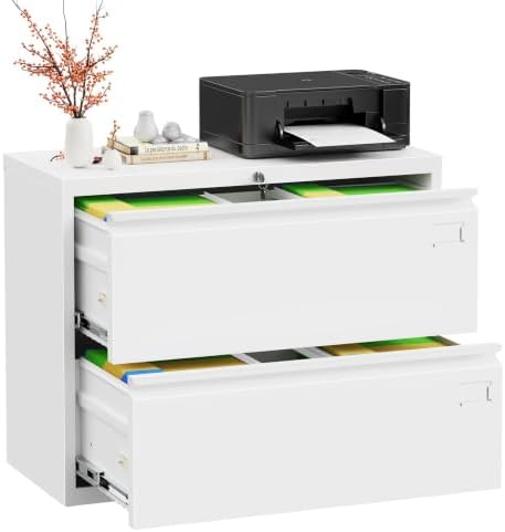 INTERGREAT Lateral File Cabinet 2 Drawer, White Metal File Cabinets for Home Office, Locking File Cabinet for Letter/Legal/F4/A4 Size Hanging Files, Easy Assembly, Name Tag