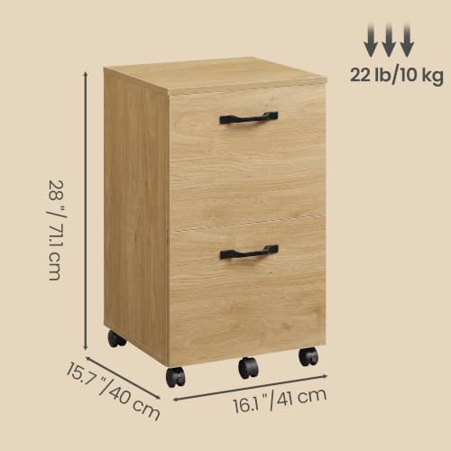 VASAGLE 2-Drawer File Cabinet, Small Rolling Filing Cabinet