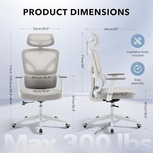 Ergonomic Office Chair with Adjustable Lumbar Support,Grey