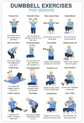 Dumbbell Exercises for Seniors 16 Step Seated And Standing Strength Workout Balance Stability Training Canvas Poster Bedroom Decor Room Decor Unframe 20x30inch
