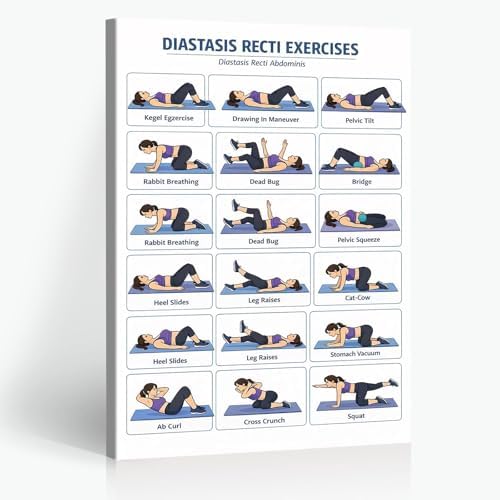 Diastasis Recti Repair Exercise Poster, 18 Illustrated Postpartum Abdomen Healing Moves Chart, Bodyweight Postnatal Core & Pelvic Floor Training Guide for Diastasis Recti Abdominis Recovery Workout(20x30inchs，Wrapped Framed)