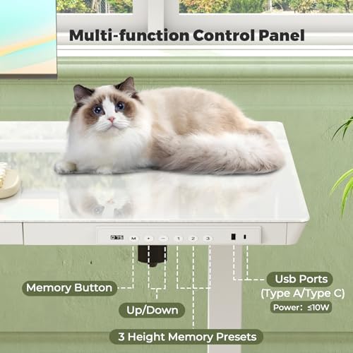 35" Electric Standing Desk with Drawer, One-Piece Glass Top