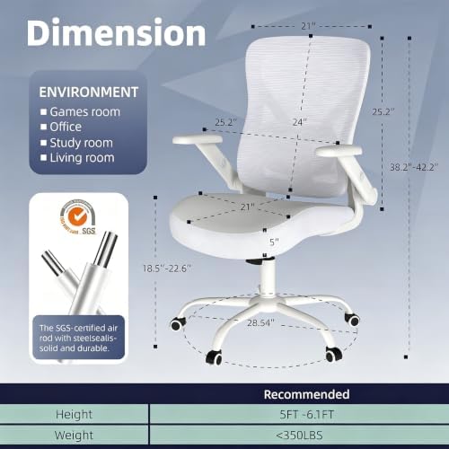 ralex-chair Ergonomic Office Chair with Adjustable Lumbar Support 350lbs