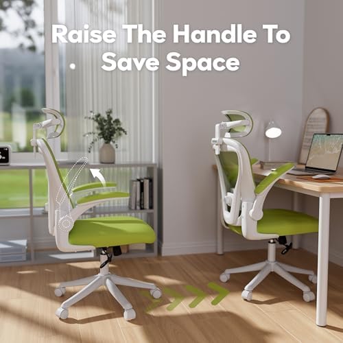 SeekFancy Ergonomic Office Chair with Memory Foam, Computer Desk Chair