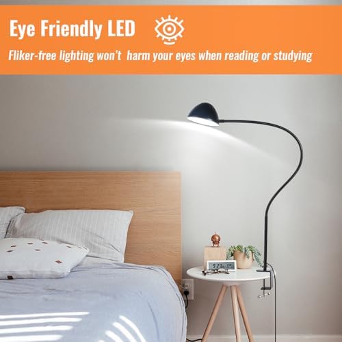 Long Gooseneck Clamp Lamp, Clip Desk Lamp with Clamp, 10W, 1100 LMS, 3 Color Modes, 10 Brightness Levels, 31 Inches Long Flaxible Gooseneck, Perfect for Craft, Reading, Home, Office