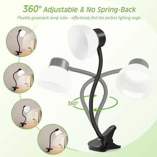 Desk Lamps for Home Office,Small LED Reading Lamp,5000K Eye-Care Desk Light