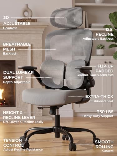 Ergonomic Office Desk Chair, Adjustable Dual Lumbar Support & Thick Seat