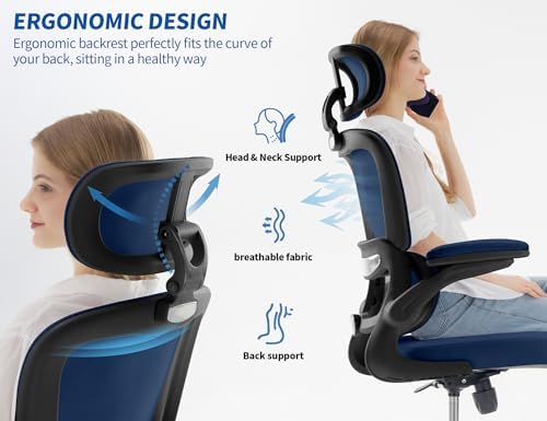 TRALT Ergonomic Office Chair Desk Chair with Adjustable Lumbar Support