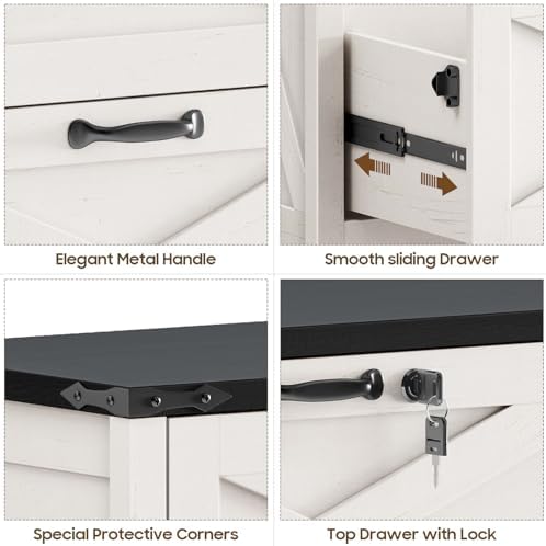 Halitaa Farmhouse Lateral File Cabinet with 2 Drawers, White and Black
