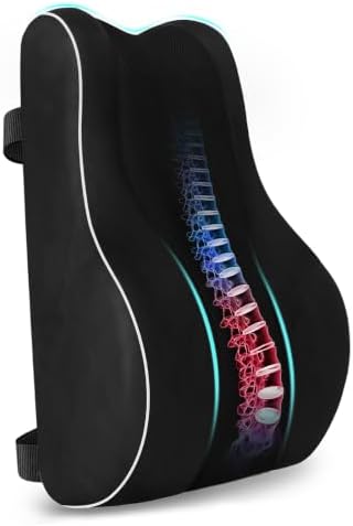 CloudBliss Lumbar Support Pillow, Memory Foam for Office, Standard, Black