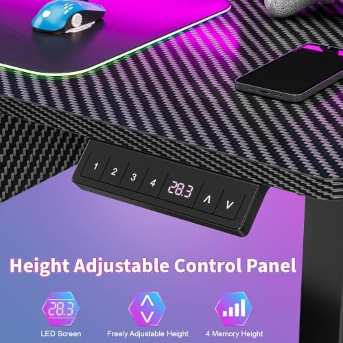 Honrane 47'' Electric Standing Gaming Desk, Height Adjustable Computer Desk