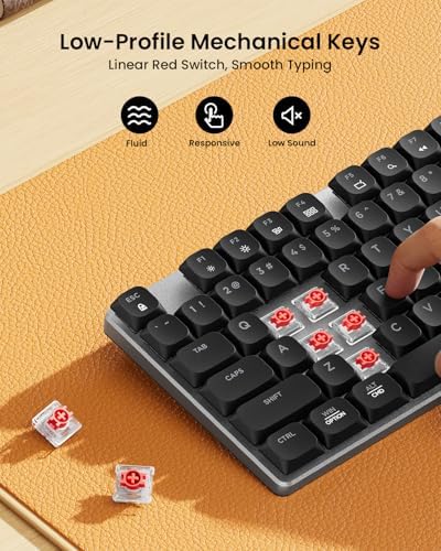 ProtoArc KM310 Wireless Mechanical Keyboard and Mouse, No Backlight