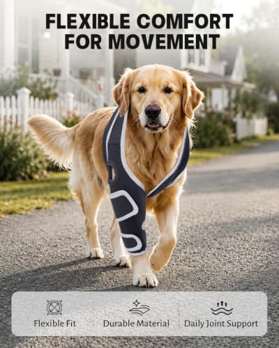 Dog Front Leg Brace for Left & Right Leg, (Size S).
