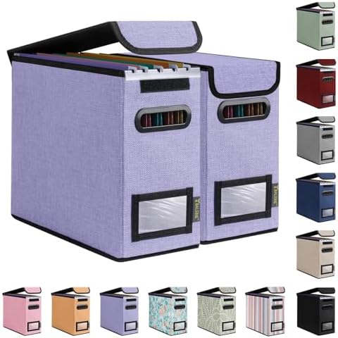 BALEINE File Organizer Box with Lid, Collapsible Hanging File Storage Box