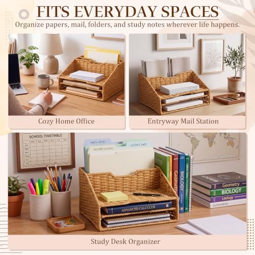 RattanView Desk File Organizer, Woven Mail Organizer Countertop, Plastic