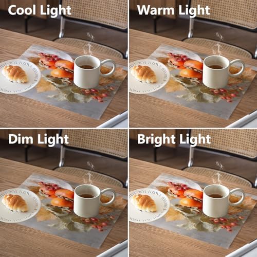 Autumn Harvest Linen Placemats, Persimmons Leaves Berries Table Mats for Table Washable Heat Insulation Thick Dining Mat, Indoor/Outdoor 12X18 in 4 Pcs