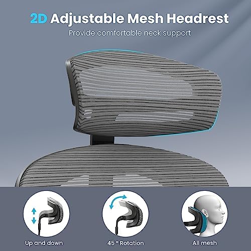 High Back Mesh Office Desk Chair, Adjustable Lumbar & Headrest, 350lb
