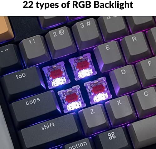 Keychron C2 Pro Wired Custom Mechanical Keyboard, Full-Size Hot-Swappable