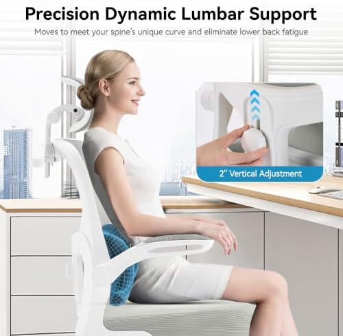 AreShark Ergonomic Office Chair, Desk Chair with Adjustable Lumbar Support